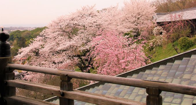 桜の季節にも訪れたい！古都・奈良の幻想的な風景「二月堂」
