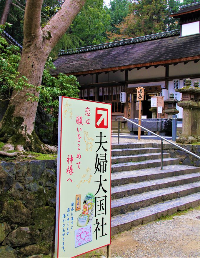 奈良公園に浮かぶ朱色の社殿！世界遺産「春日大社」