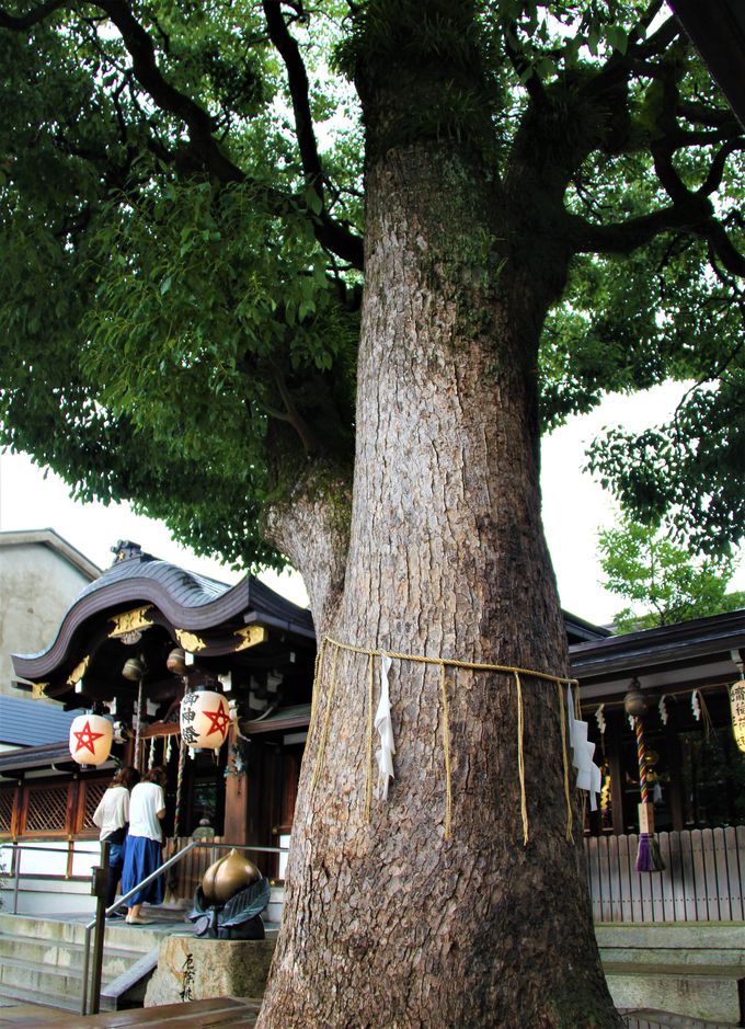 安倍晴明を祀る京都「晴明神社」
