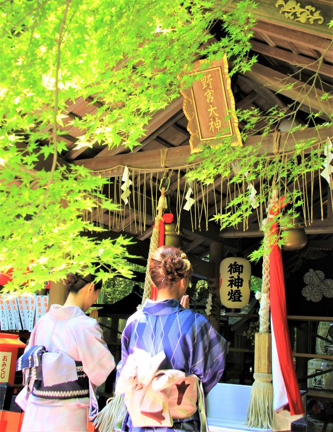 午後：JRで嵐山へ まずは女性に人気の「野宮神社」