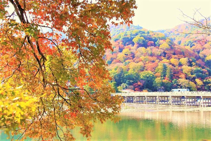 桜も紅葉も新緑も美しい！京都の人気観光スポット「嵐山」