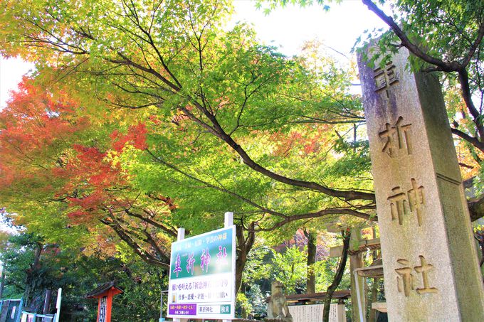 芸能界のパワースポット！京都・芸能神社は意外と紅葉の名所