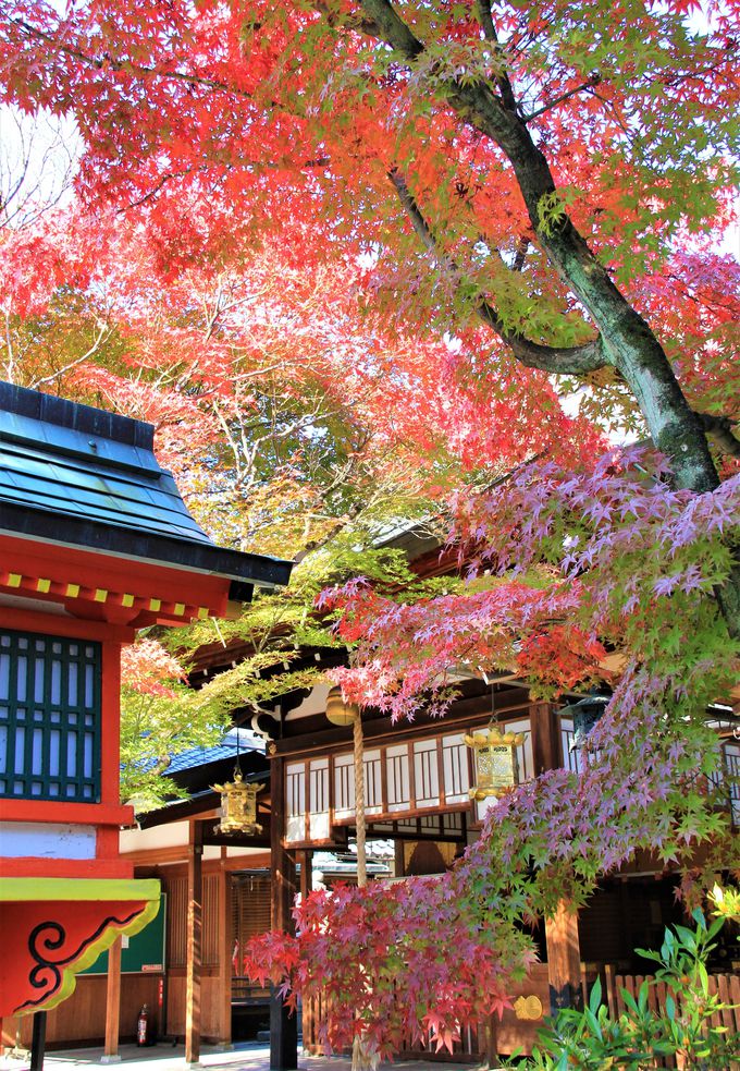 ジャニーズ Akb48も 京都 車折神社は芸能最強パワースポット 京都府 トラベルjp 旅行ガイド