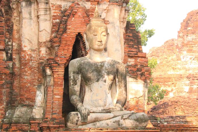 木の根に覆われた仏頭 アユタヤ遺跡 ワット マハタート タイ トラベルjp 旅行ガイド