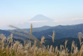 ɓł̃f[g͒߂̂厺RŃL}II̋LTlC