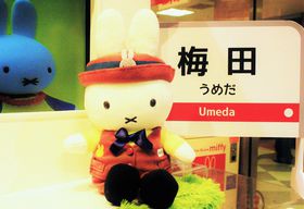 �����ɂ�`�I�~�c�Ŕ�����I���ό��Ől�C�̗��y�Y�̓R���̋L���T���l�C��