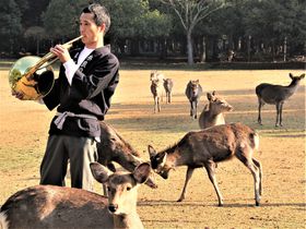 鹿を寄せる魔法のホルン！奈良公園の鹿は名曲『田園』にウットリ？
