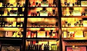 ���q�ɐl�C�^�C�y�Y�I���e�E�X�p�A�A���}���R�X���̃^�C�y�Y�����L���O�̋L���T���l�C��