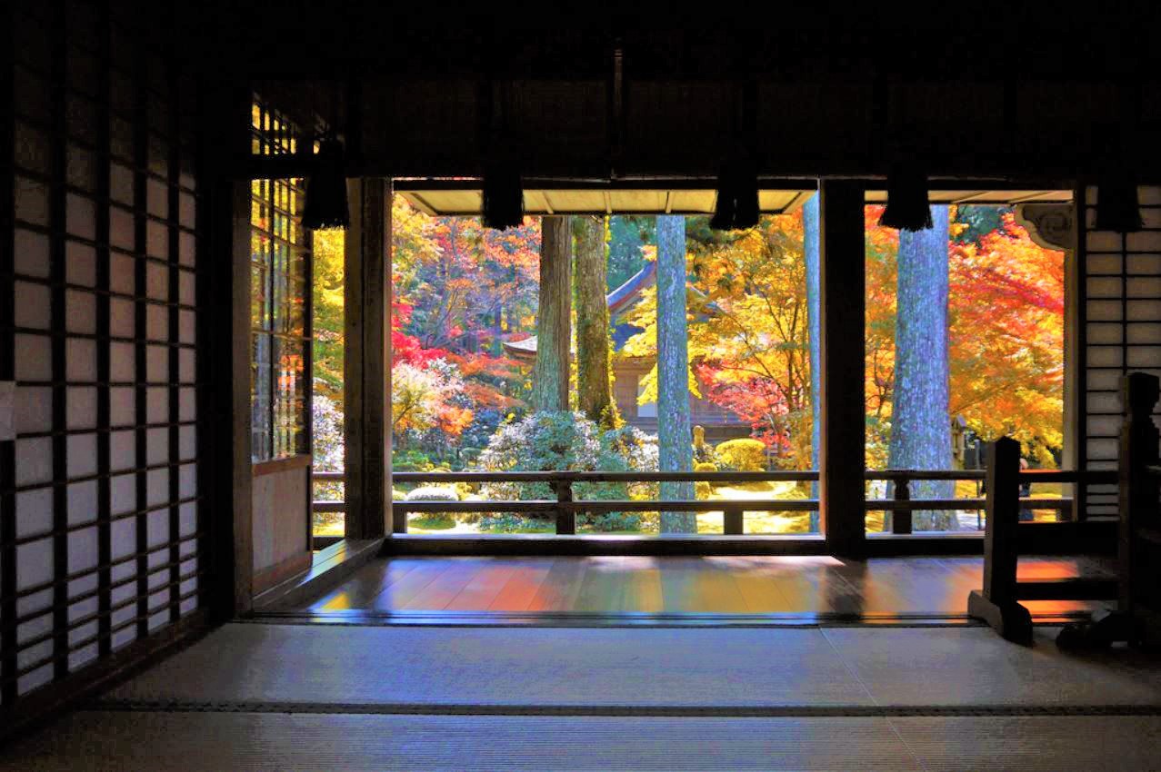 京都観光の穴場！大原三千院から寂光院へ、紅葉散策ぶらり旅