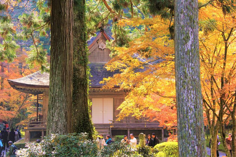紅葉もおすすめ！京都のパワースポット、三千院の見どころは？