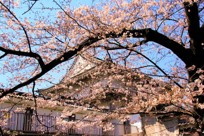 大阪城の魅力がいっぱい！「大手門」「多聞櫓」「千貫櫓」「西の丸庭園」