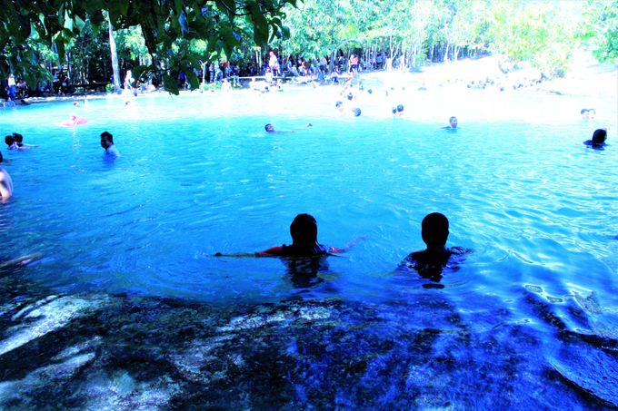 クラビ観光のおすすめ！「エメラルドプール（Emerald Pool）」＆ジャングル温泉