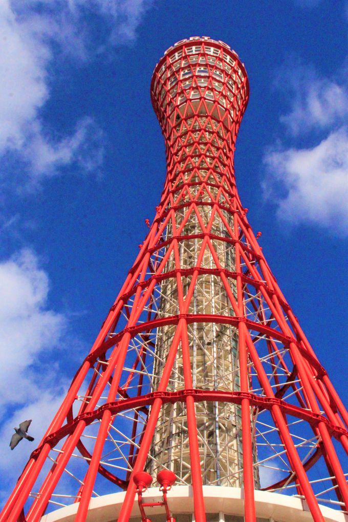 _ˊό̃CX^fԃX|bgu낱̉ƁE낱pفvu_˃|[g^[vu_˃~iGv