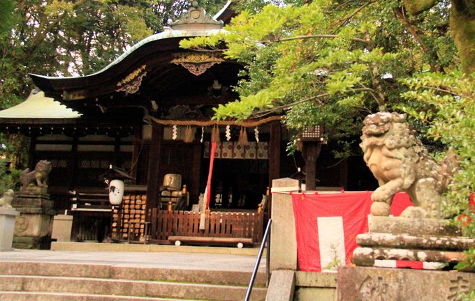 京都・岡崎神社の「狛うさぎ」は縁結び・夫婦和合のパワースポット
