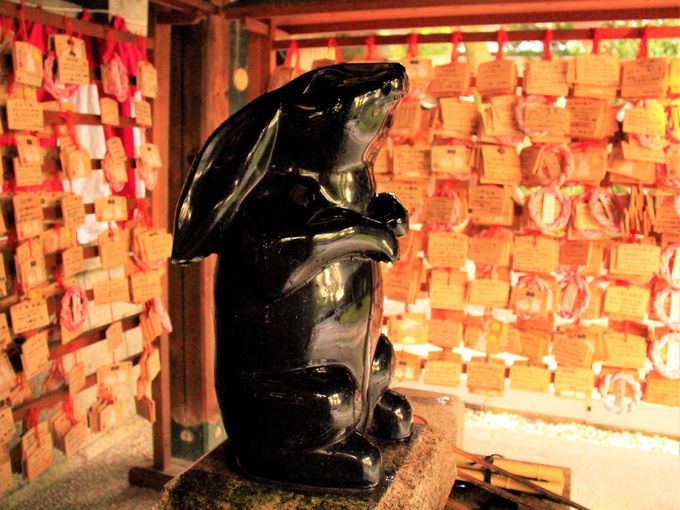 京都・岡崎神社の「子授けうさぎ」