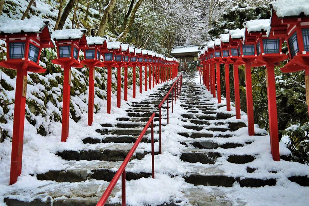 ̋sp[X|bg_Ёus̐_ЁvuMD_Ёvu_Ёv