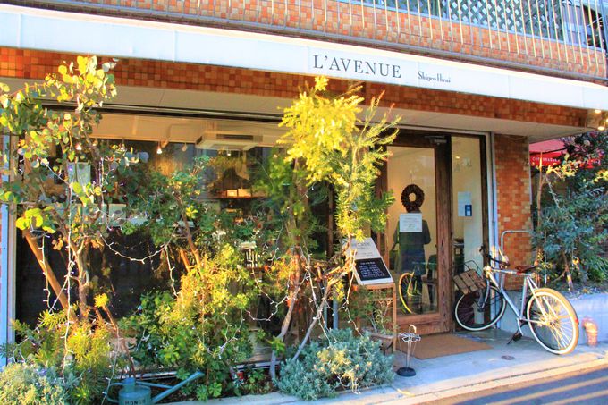 _ˁEkِ̈lقɋ߂ō̃XC[cuuj[iLfAVENUEjv