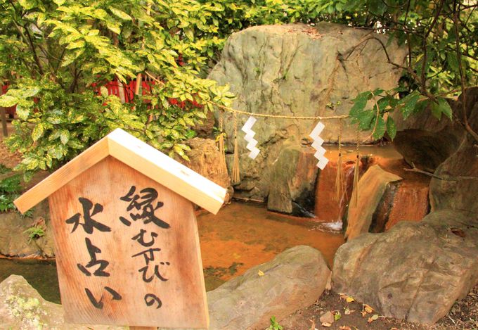 �悭������u���肢�v���l�C�I�u���c�̐X�v�̂������߁I�g�����т̐��肢�h