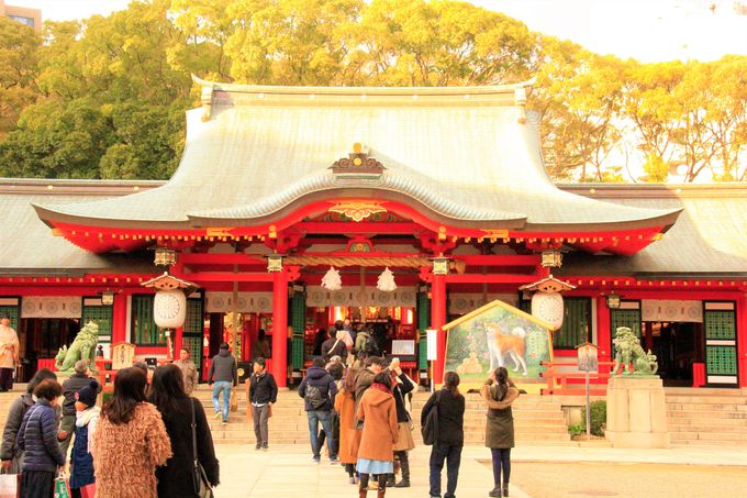 初詣 恋愛運アップにおすすめ 神戸 生田神社は 蘇る神 のパワースポット 兵庫県 トラベルjp 旅行ガイド