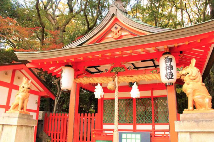 初詣、恋愛運アップにおすすめ！神戸・生田神社はu201c蘇る神u201dのパワー 