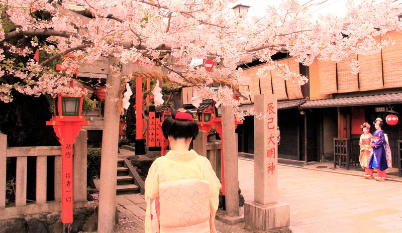 京都観光おすすめ！女子のための最強パワースポット神社巡り | 京都府 | トラベルjp 旅行ガイド