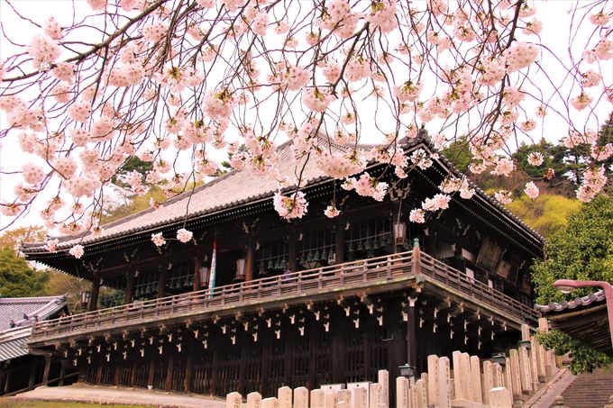 奈良のスカイツリーは24時間無料 東大寺二月堂の見どころ 奈良県 トラベルjp 旅行ガイド