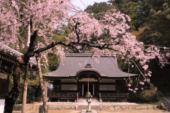 桜 紅葉の穴場 西行永眠の弘川寺は南大阪のパワースポット 大阪府 Lineトラベルjp 旅行ガイド