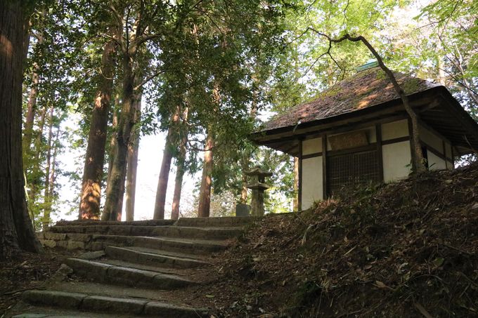 桜 紅葉の穴場 西行永眠の弘川寺は南大阪のパワースポット 大阪府 Lineトラベルjp 旅行ガイド