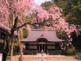桜×紅葉の穴場！西行永眠の弘川寺は南大阪のパワースポット