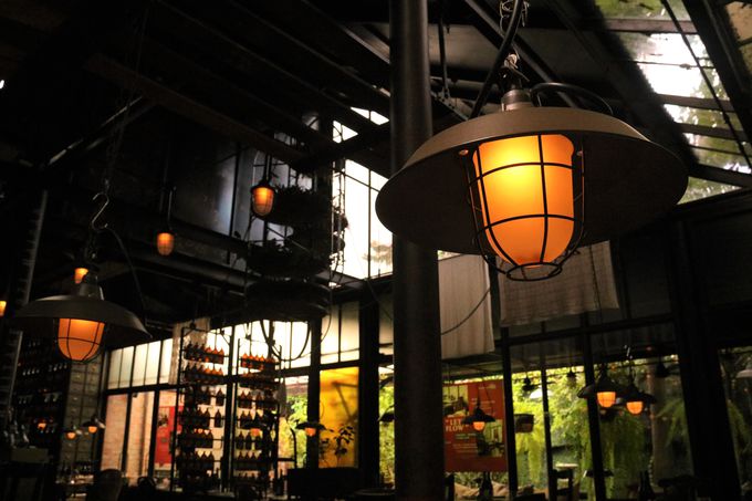 �o���R�N�̉B��ƁI�J���}�J���b�g�_�C�i�[�͂�������