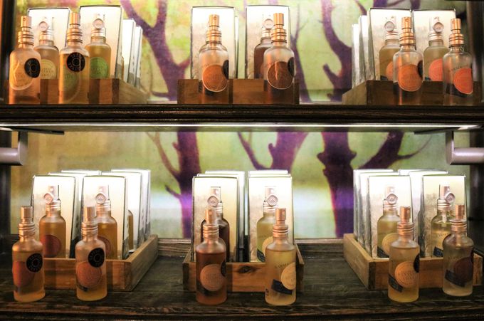 �{�f�B�[���[�V�����A�T�V�F���l�C�I�J���}�J���b�g�̍����A�C�e��