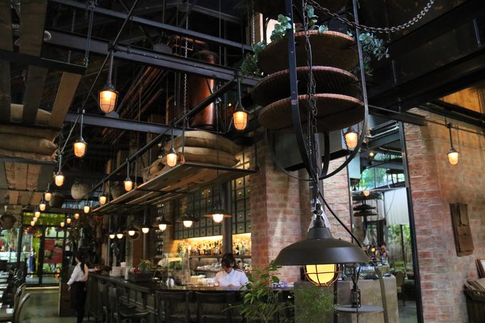 �o���R�N�̉B��ƁI�J���}�J���b�g�_�C�i�[�͂�������