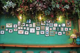 SNSECX^ŐlCIoRÑtFU[Xg[JtF̋LTlC