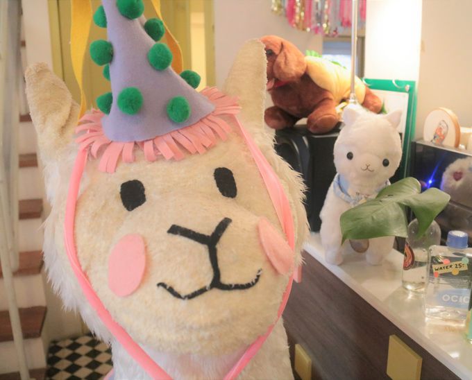 t@V[ȃApJo}ĨX|bguiqJtFv