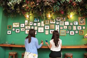 SNSCX^fQI^CEoRN̂JtF10I̋LTlC