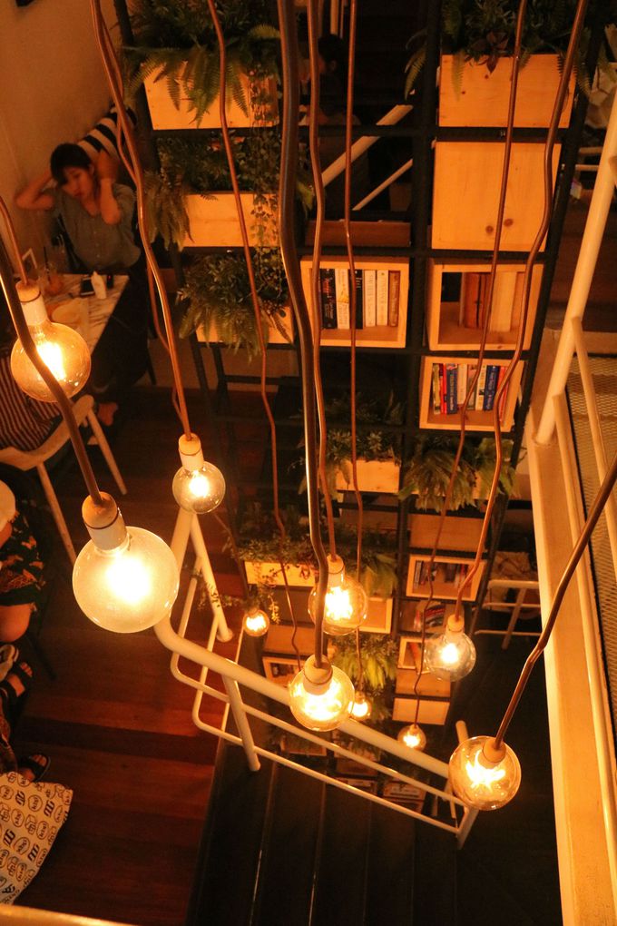 SNSECX^fQIoRNόs̓JtF