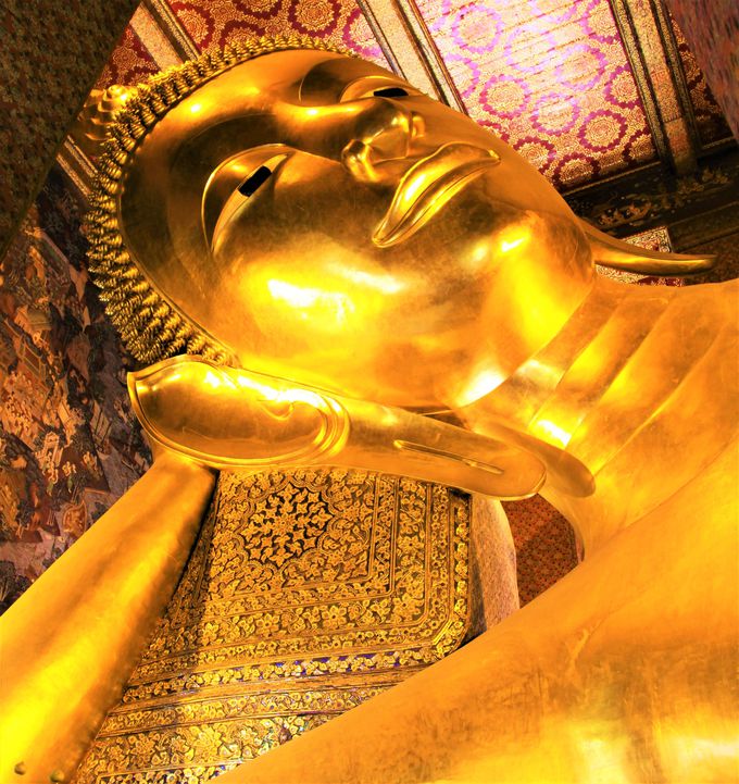 SNSECX^fQIoRNόs̓JtF