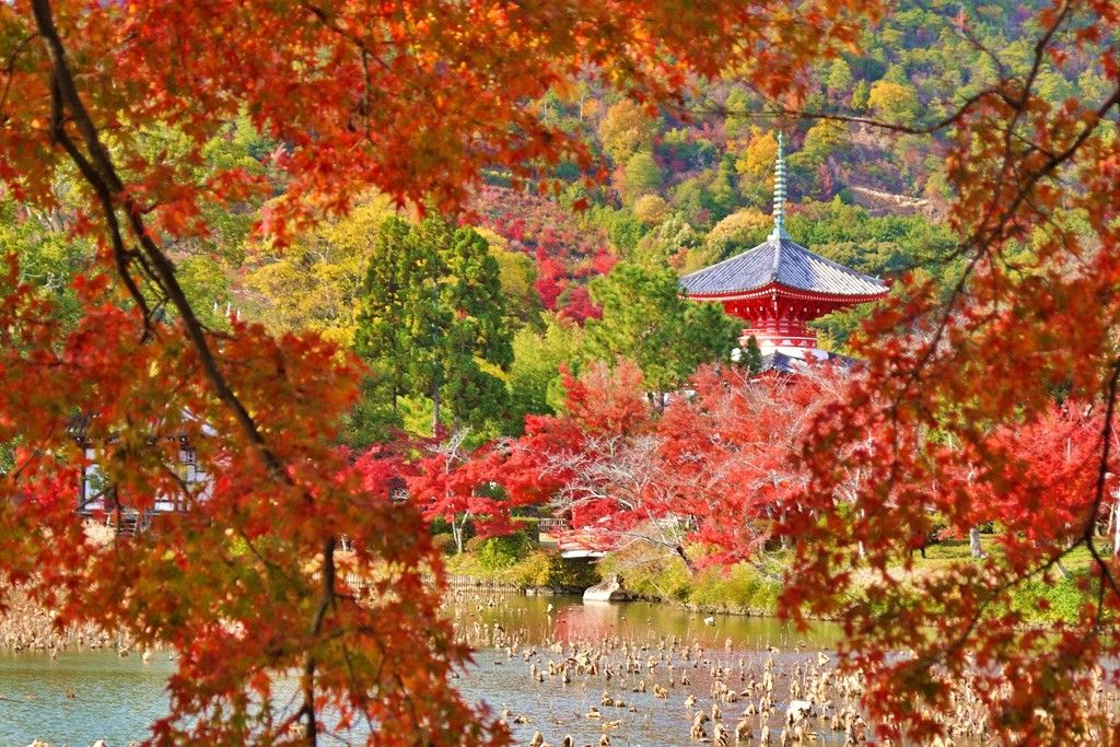 日本の秋旅おすすめ 京都 嵐山の紅葉スポット 穴場15選 京都府 トラベルjp 旅行ガイド