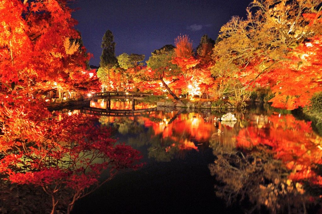ライトアップも美しい 京都 永観堂の紅葉時期 見ごろは 京都府 トラベルjp 旅行ガイド
