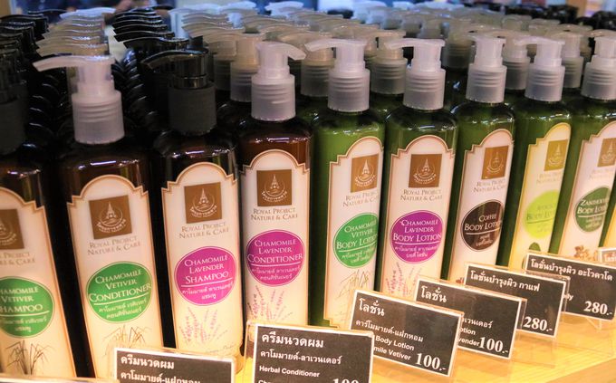 ^CyYɂ߁IuCEvWFNgEVbvv