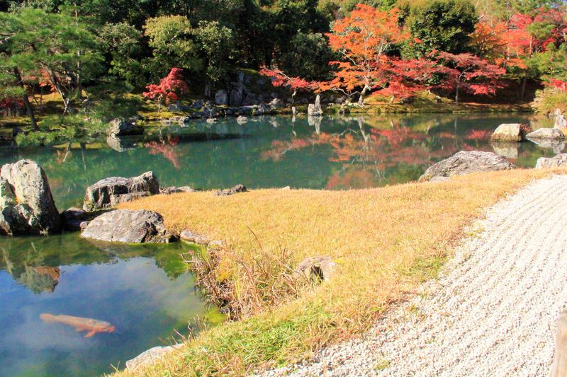 世界遺産・京都「天龍寺」の名庭園！紅葉の見どころ＆見ごろは？