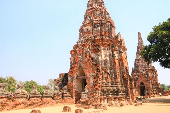 �p�Ђ̖��͂Ƃ́H�A���^�������̉h�؊�����^�C�̊ό����s��