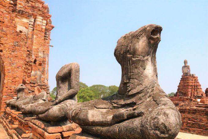 �^�C�l���������n����̗��ցI���b�g�E�`���C���^�i���[�����