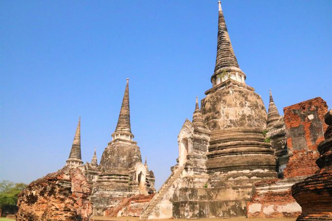 �^�C�̕����̈Ⴂ�́H���b�g�E�`���C���^�i���[���̌��ǂ���