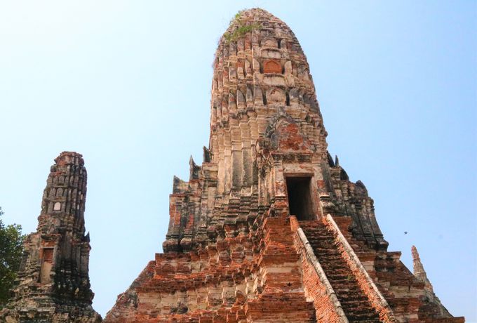 �^�C�̕����̈Ⴂ�́H���b�g�E�`���C���^�i���[���̌��ǂ���