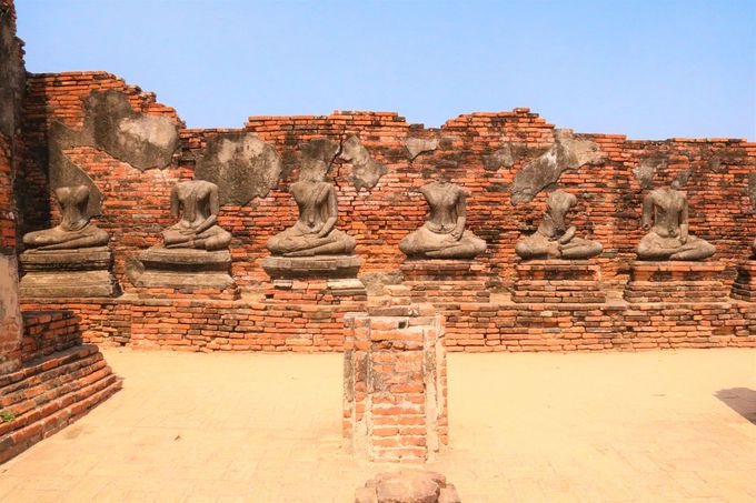 �p�Ђ̖��͂Ƃ́H�A���^�������̉h�؊�����^�C�̊ό����s��