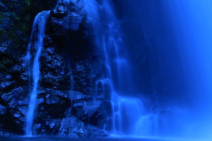 ���ƌ��N�̃X�|�b�g�I���[�̑�