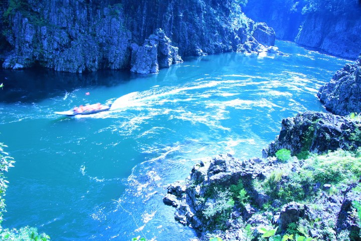 ���ʖ����̋��J�I�ҋ��i�Ҕ����j