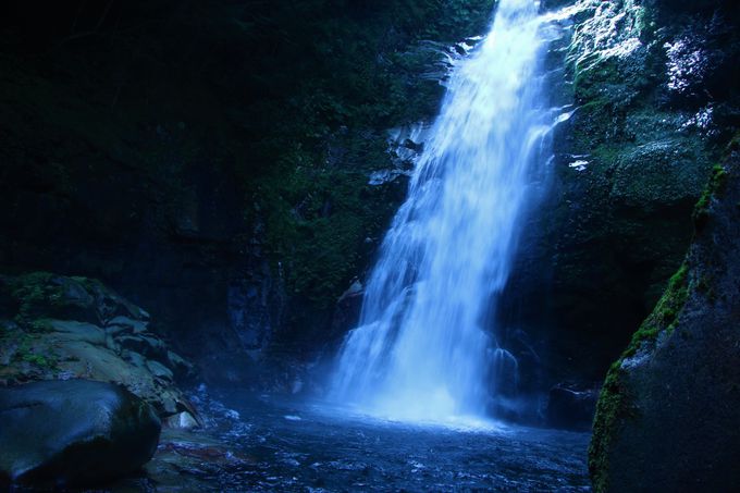 �����̃X�|�b�g�I���̑�