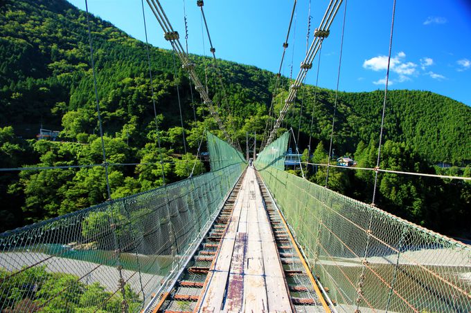 �l�C�X�|�b�g�I�J���݂̒苴